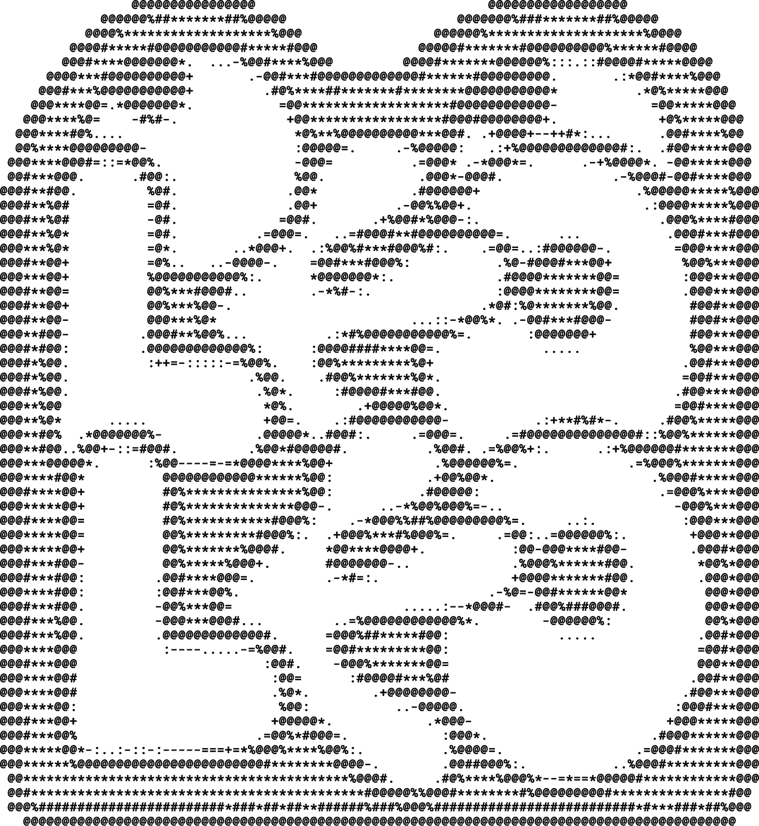 ASCII image 1