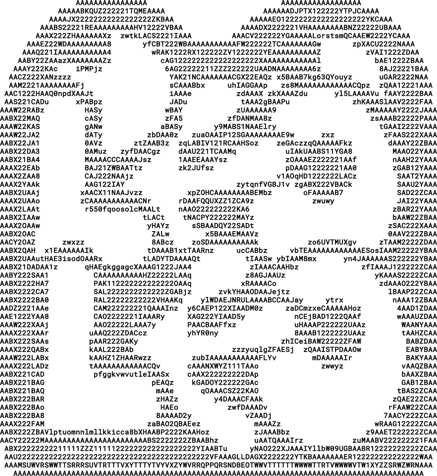 ASCII image 4
