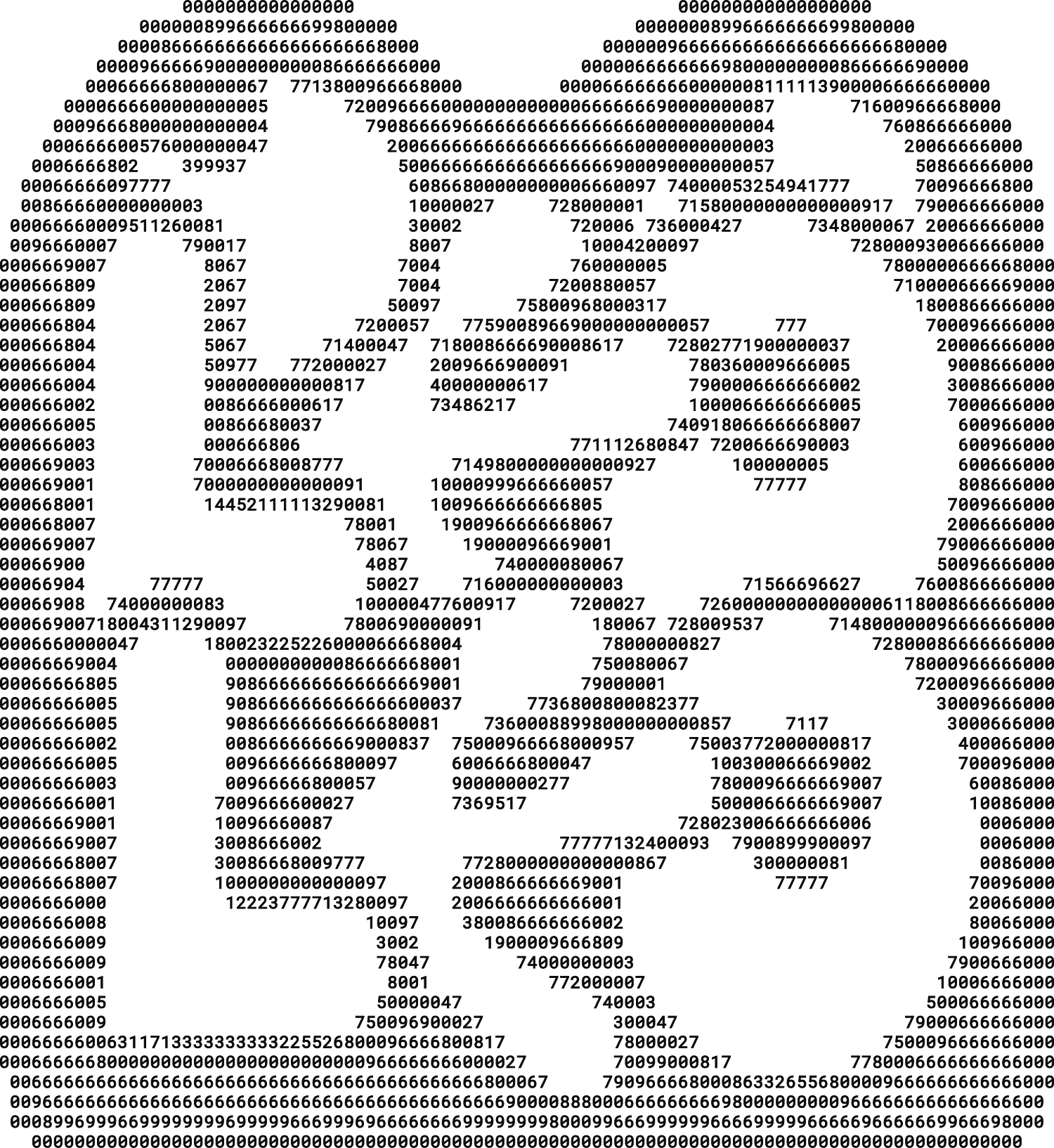 ASCII image 3